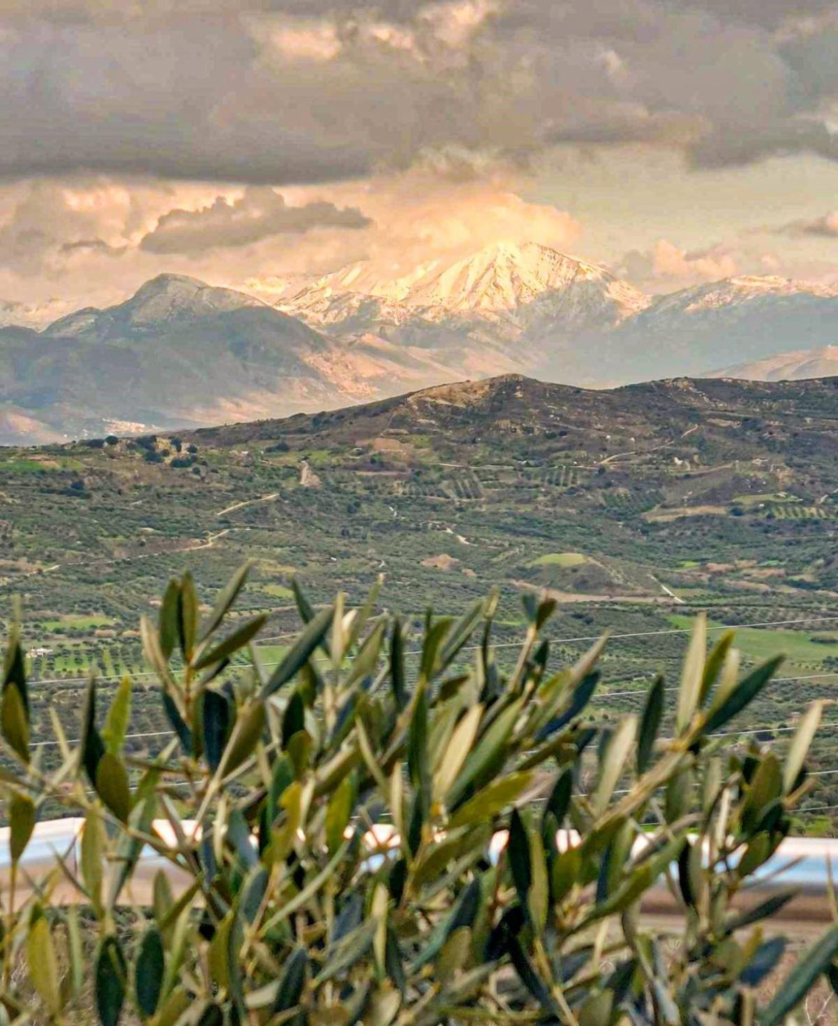Nikola's Endless View Stironas
